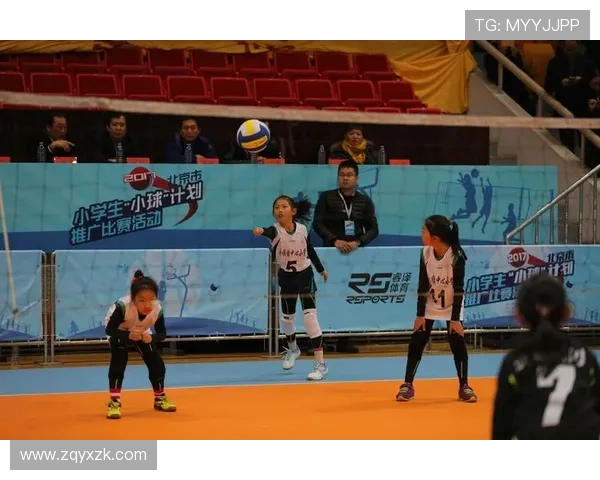 北京排球队在杯赛中的实力展现与战术分析全面点评